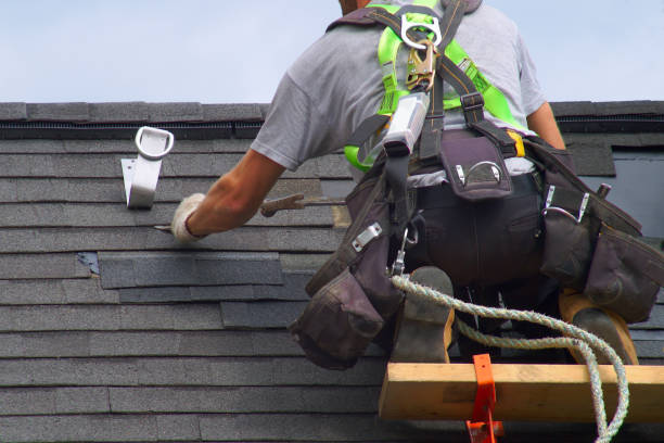 Best Fascia and Soffit Installation  in Occidental, CA