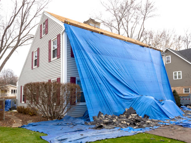 Best Siding for New Construction  in Occidental, CA